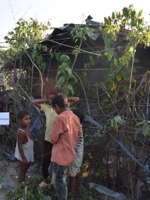 Rohingya Qurbani / Udhiya